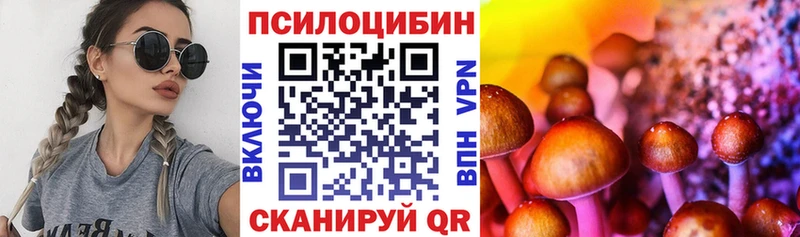 ОМГ ОМГ ссылка  Магадан  Псилоцибиновые грибы GOLDEN TEACHER  купить наркотики цена 