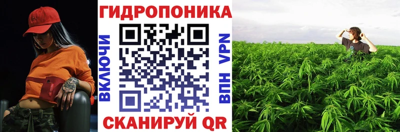 Каннабис гибрид  купить наркотик  Магадан 